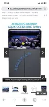 [TodoMarino.com] Acuario Aqua Ocean 180L en funcionamiento