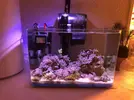 [TodoMarino.com] Venta acuario 42 litros completo + regalo picoreef 8 litros