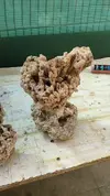 [TodoMarino.com] Sump trasero filtración