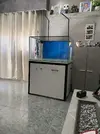 [TodoMarino.com] Acuario