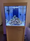 [TodoMarino.com] peces y roca