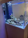[TodoMarino.com] peces y roca