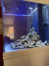 [TodoMarino.com] peces y roca