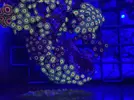 [TodoMarino.com] Pack 3 tipos de zoas