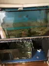 [TodoMarino.com] Desmonto acuario santiago de compostela
