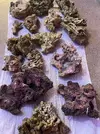 [TodoMarino.com] 22 kilos de roca