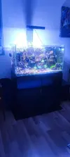 [TodoMarino.com] Venta acuario marino