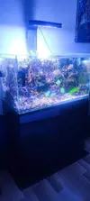 [TodoMarino.com] Venta acuario marino