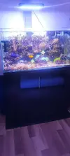 [TodoMarino.com] Venta acuario marino