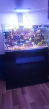 [TodoMarino.com] Venta acuario marino