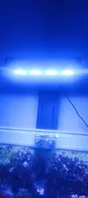 [TodoMarino.com] Venta acuario marino