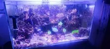 [TodoMarino.com] Venta acuario marino