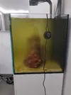[TodoMarino.com] Necesito vuestra ayuda, agua turbia