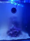 [TodoMarino.com] Necesito vuestra ayuda, agua turbia