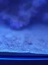 [TodoMarino.com] Necesito vuestra ayuda, agua turbia