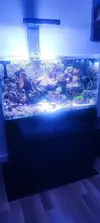 [TodoMarino.com] Desmonte Acuario marino