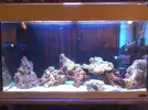 [TodoMarino.com] Fabricacion 2 pantallas led