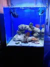 [TodoMarino.com] Abelita´s reef