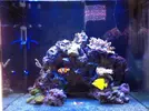 [TodoMarino.com] Taller Usuarios RED SEA MAX