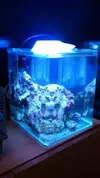 [TodoMarino.com] Nuevo pico reef de 19 litros.
