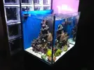 [TodoMarino.com] Luces HQI