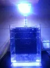 [TodoMarino.com] pico reef  8 litros