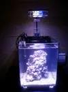 [TodoMarino.com] pico reef  8 litros