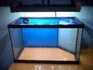[TodoMarino.com] montejo's nano reef
