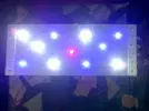 [TodoMarino.com] montejo's nano reef