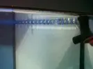 [TodoMarino.com] montejo's nano reef