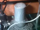 [TodoMarino.com] montejo's nano reef