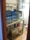 [TodoMarino.com] Vamos a modificar el sump, que os parece?