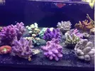 [TodoMarino.com] Nueva llegada !!! Colores??? Yeah !