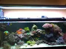 [TodoMarino.com] Os presento mi Acuario
