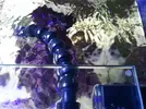 [TodoMarino.com] Dudas sobre cómo hacer la mudanza de un acuario