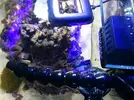 [TodoMarino.com] Dudas sobre cómo hacer la mudanza de un acuario