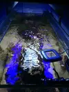 [TodoMarino.com] Dudas sobre cómo hacer la mudanza de un acuario