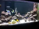 [TodoMarino.com] Poner aquí la foto de vuestro acuario...