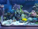 [TodoMarino.com] Ampliacion de 60l a 200l