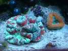 [TodoMarino.com] Ampliacion de 60l a 200l