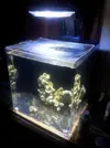 [TodoMarino.com] Empezando y presentando Nano de 30L