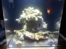 [TodoMarino.com] Empezando y presentando Nano de 30L