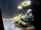 [TodoMarino.com] Empezando y presentando Nano de 30L