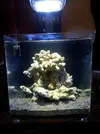 [TodoMarino.com] Empezando y presentando Nano de 30L