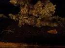 [TodoMarino.com] Empezando y presentando Nano de 30L