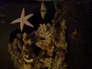 [TodoMarino.com] Empezando y presentando Nano de 30L