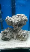 [TodoMarino.com] Nano Reef Aquael 30 l