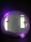 [TodoMarino.com] Medusario de Phylorizas