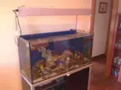 [TodoMarino.com] Bricoled 120l 90w + 18w sump