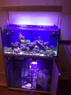 [TodoMarino.com] Bricoled 120l 90w + 18w sump
